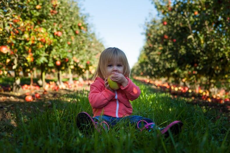 Kinderen met een diagnose van diabetes mellitus kunnen lelijke vruchten gebruiken